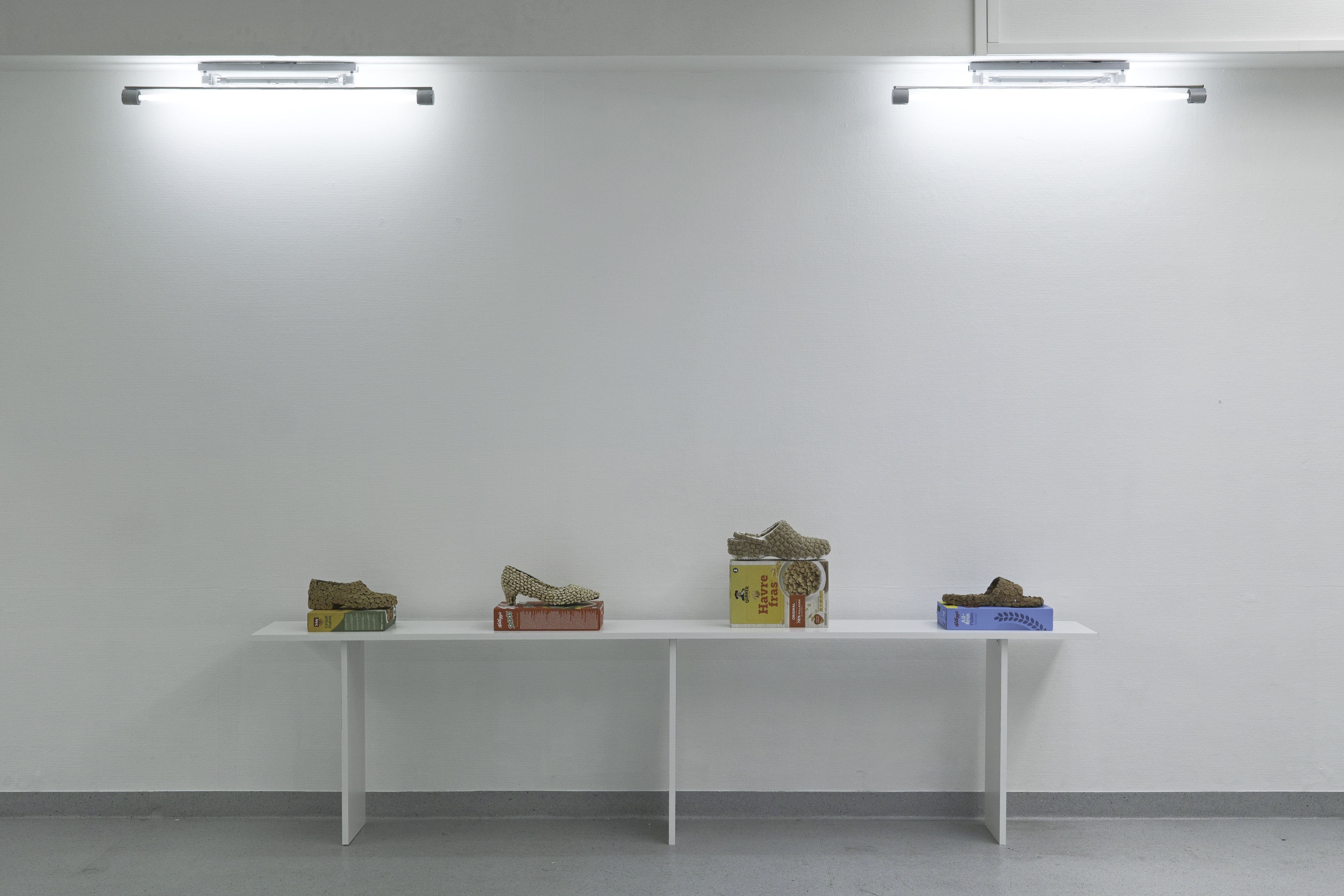 lvg-pyton-installation-1