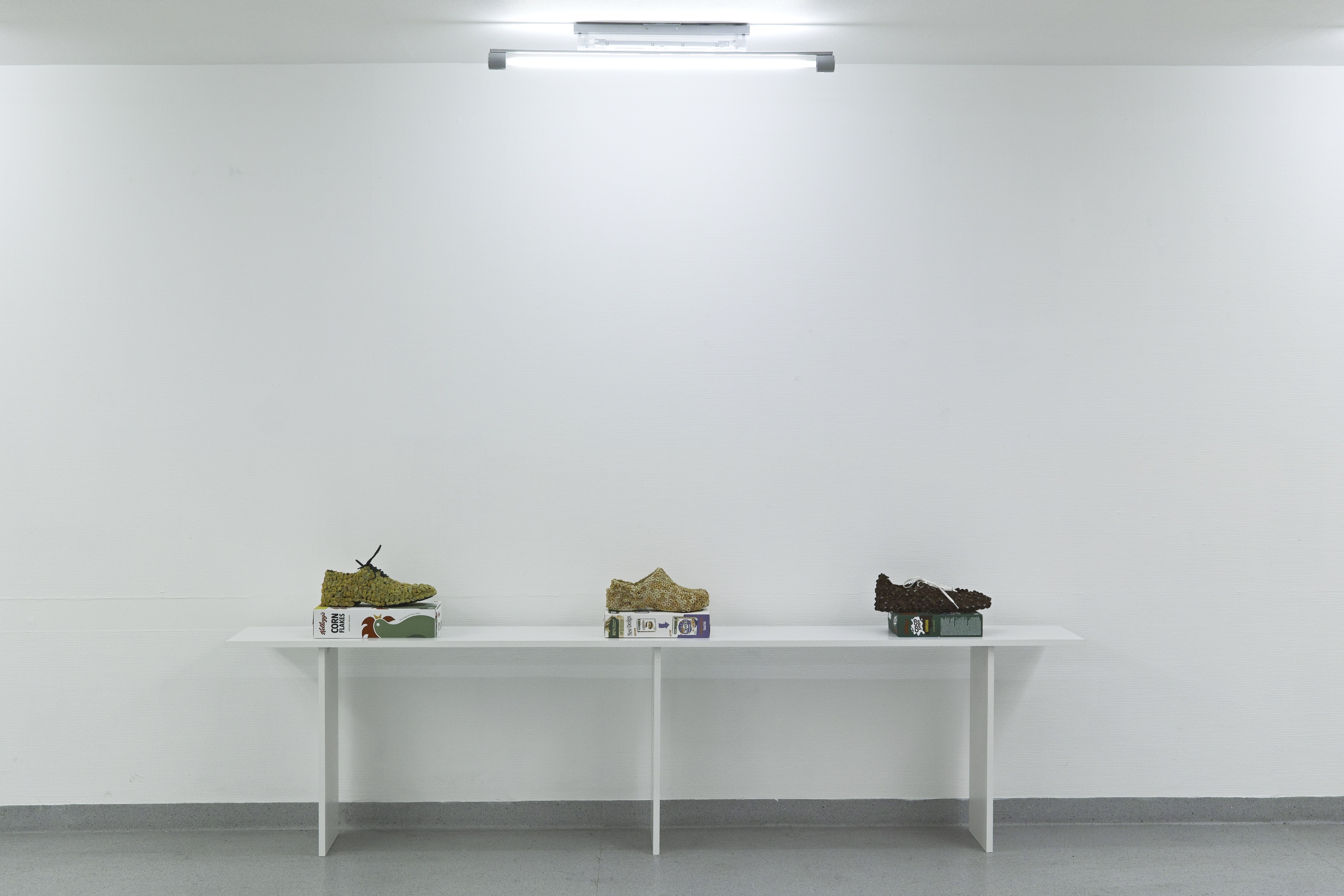 lvg-pyton-installation-3